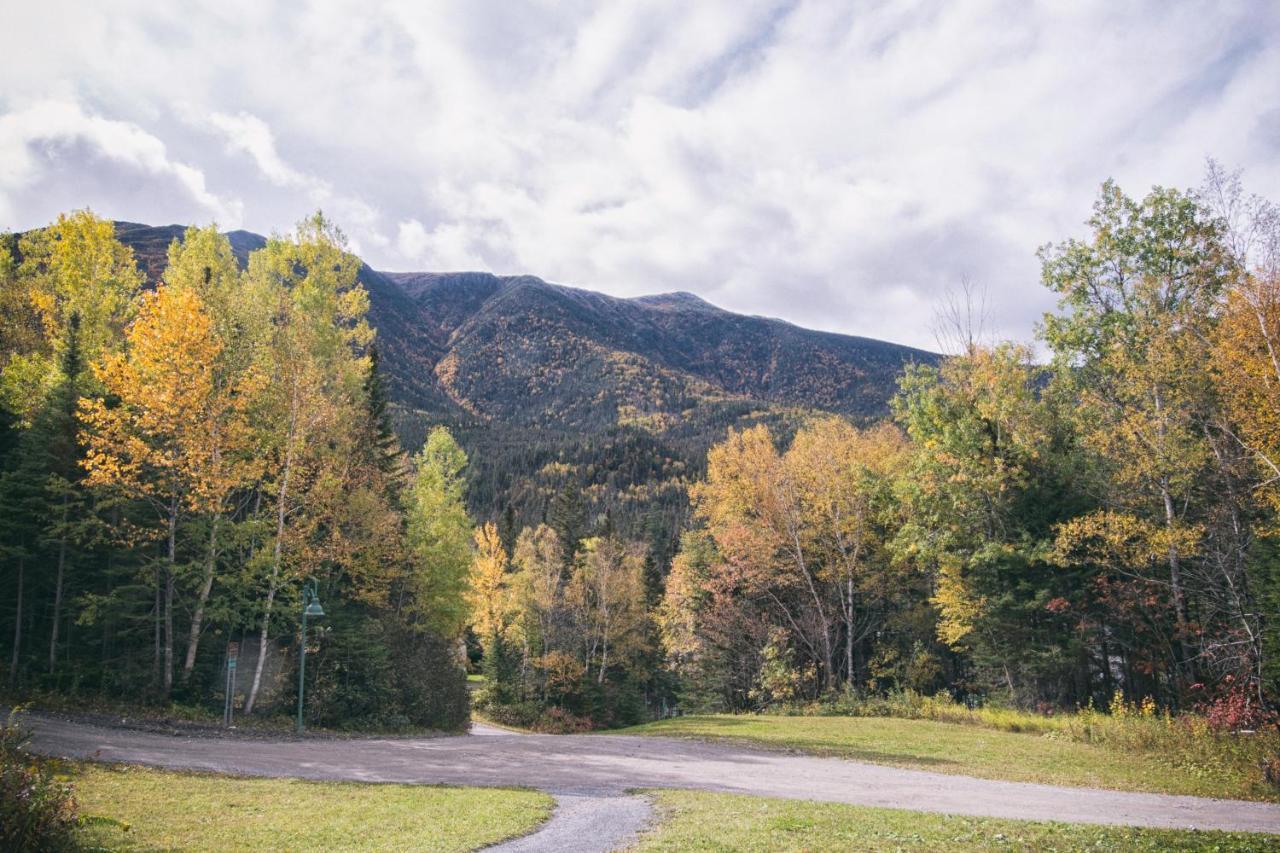Gite Du Mont-Albert - Sepaq Sainte Anne-des-Chênes Kültér fotó